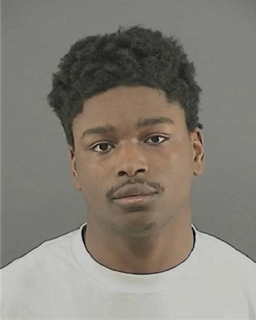 ALEXANDER, DIMONIESHEO L - Peoria County, IL