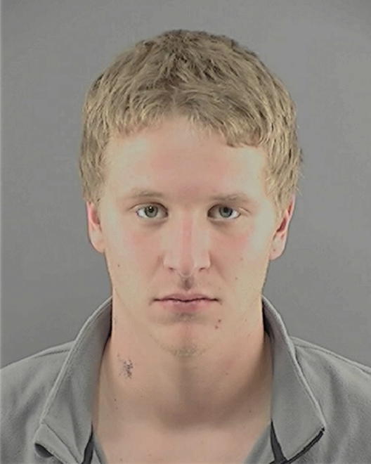 DIEMER, AARON J - Peoria County, IL
