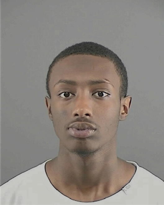 ERVING, DEVAN L - Peoria County, IL