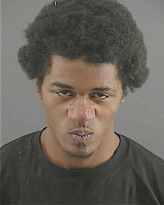 RICHARDSON, RICKY J - Peoria County, IL