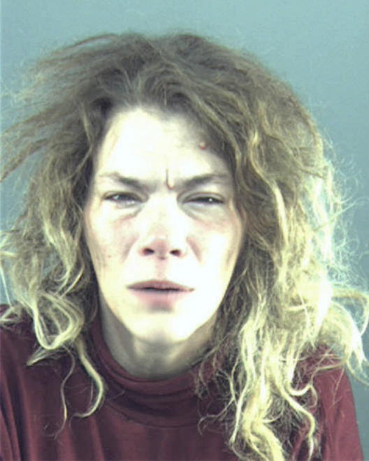 ZIENTEK, AMY JOANNE - Peoria County, IL