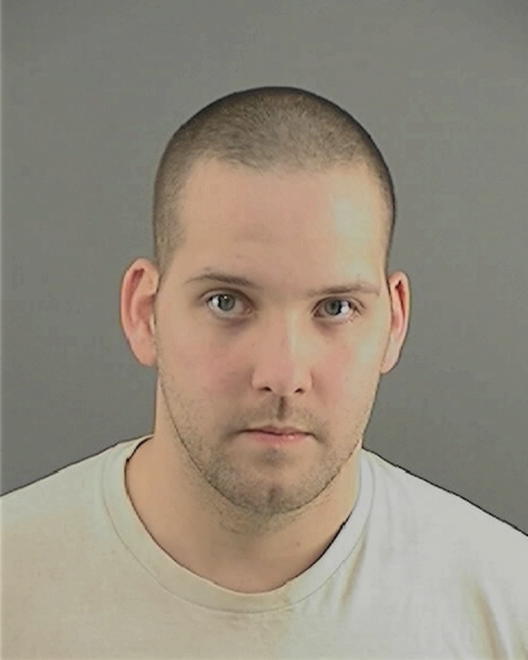 BRIDGEMAN, DAVID L - Peoria County, IL