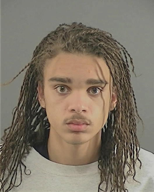 MOSS, TERRY LEE - Peoria County, IL