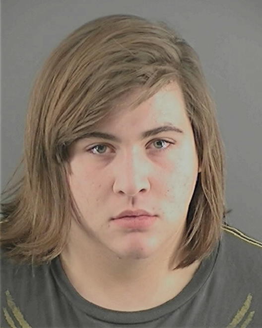 PEAK, ANTHONY MICHAEL - Peoria County, IL