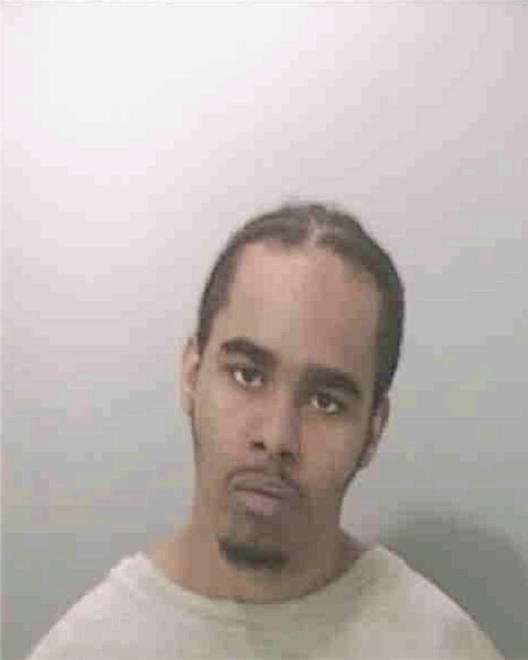 RAWLINS, RICO - Peoria County, IL