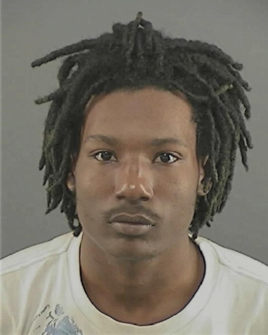 WILLIAMS, DENNIS JR - Peoria County, IL