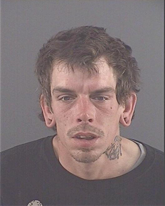 BEEKMAN, JOSHUA C - Peoria County, IL