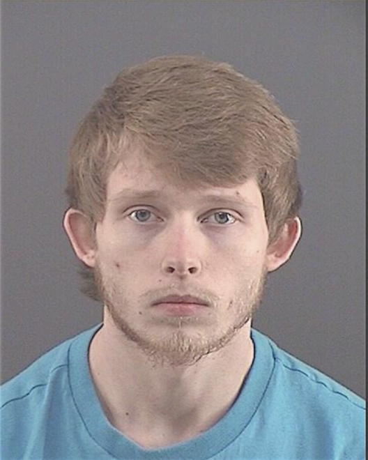 BRIDGES, DAVID MICHAEL - Peoria County, IL
