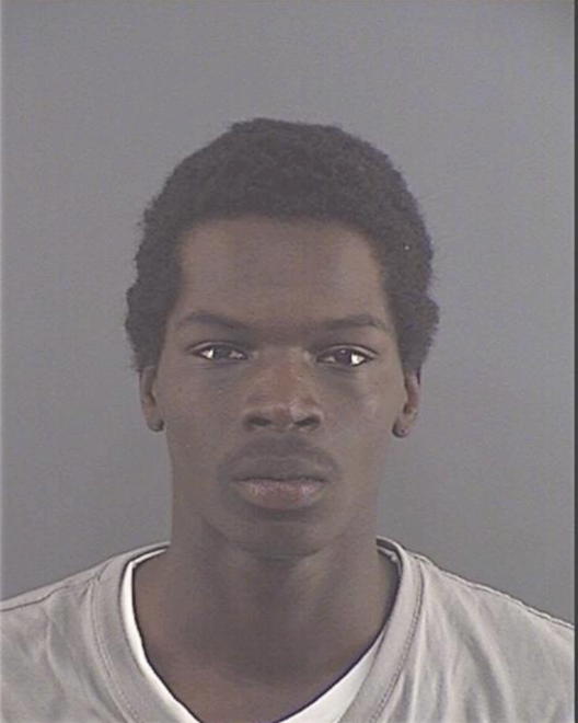 TYLER, BRIAN CHRISTOPHER - Peoria County, IL
