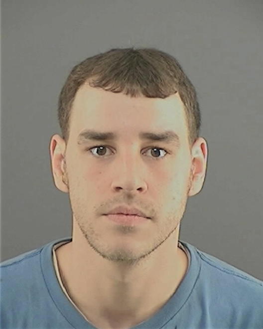 WELLS, MICHAEL S - Peoria County, IL