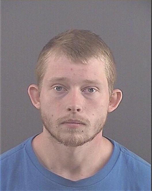BRIDGES, DAVID MICHAEL - Peoria County, IL