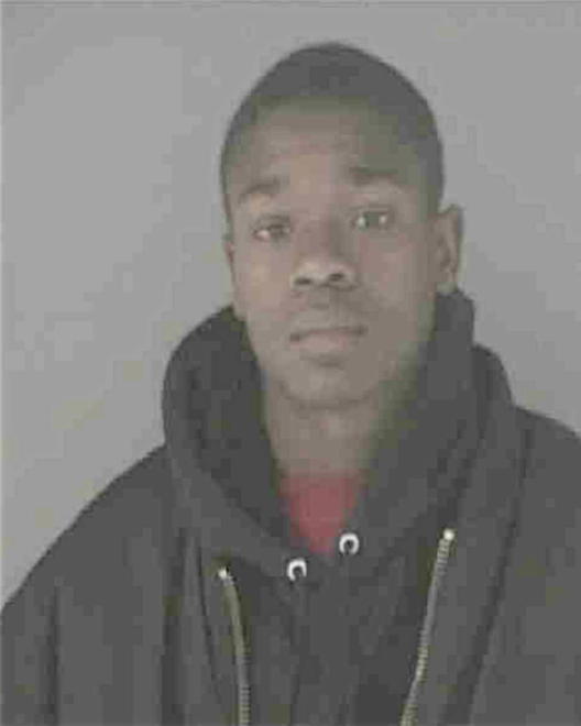 WELLS, DECARLOS J - Peoria County, IL