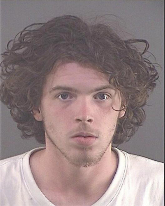 SEARLE, ROBERT MICHAEL - Peoria County, IL