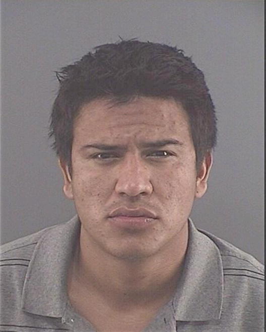 CORONAESTRADA, EDGAR - Peoria County, IL