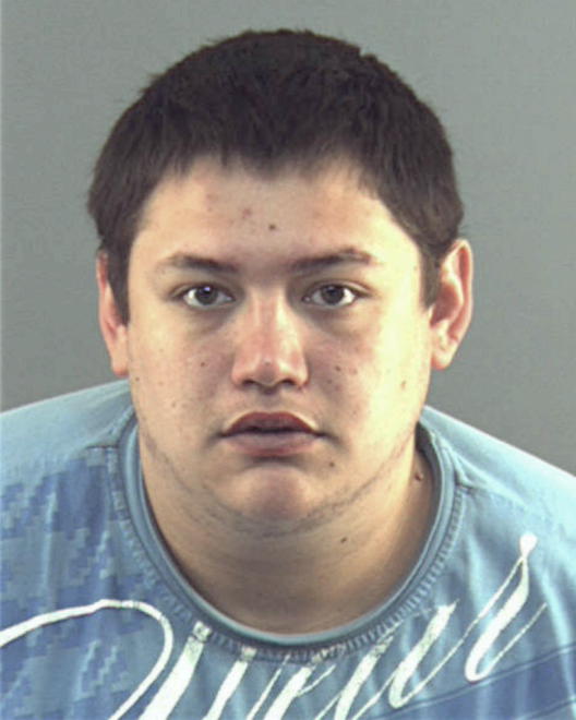 NG, BRANDON S - Peoria County, IL
