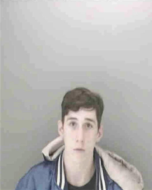 HICKMAN, ANDREW MICHAEL - Peoria County, IL