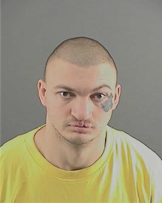 KRASNER, AARON M - Peoria County, IL