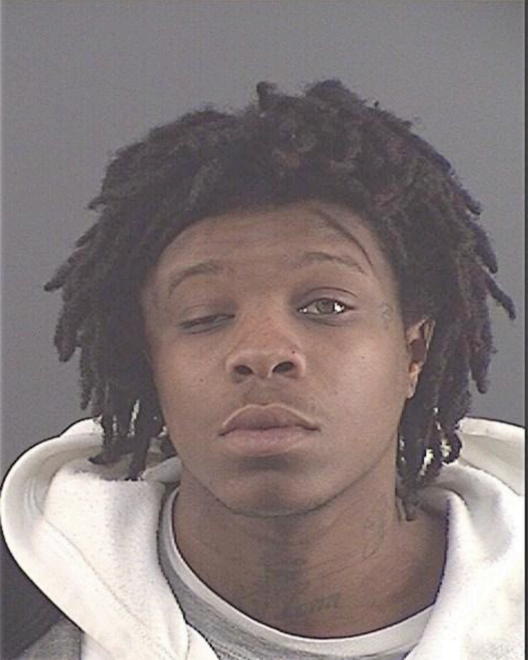 MCNEAL, MICHAEL ANTHONY - Peoria County, IL