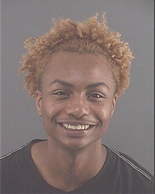 JOHNSON, TREMON M - Peoria County, IL