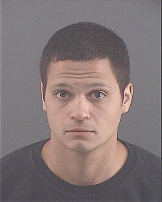 MENESES, LUIS ERIK - Peoria County, IL