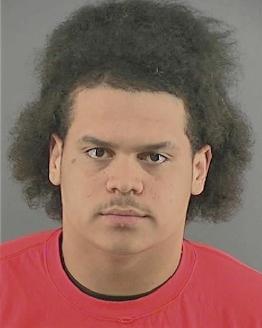 SCHMITT, LEONARD Q - Peoria County, IL