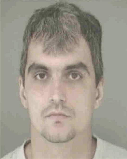 RUBINI, CARL TRACEY - Peoria County, IL