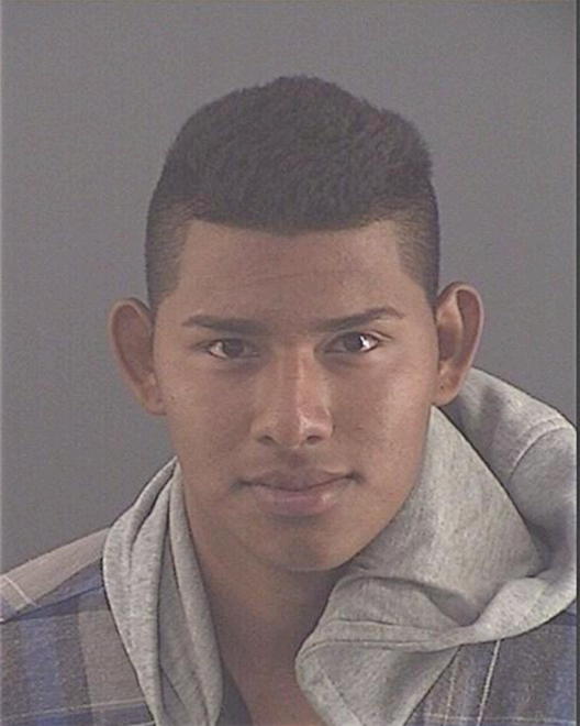 SANDOVAL-CAMPOS, ALEXANDER VLADIMIR - Peoria County, IL