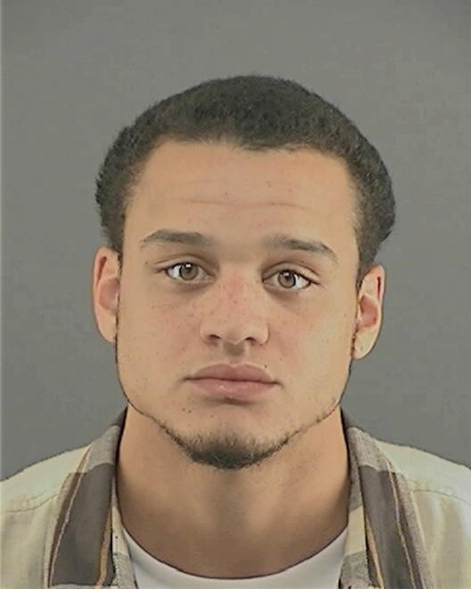 WILLIS, TYLER JAMES - Peoria County, IL