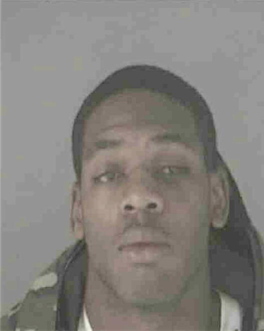 BRADLEY, TERRENCE MATTHEW - Peoria County, IL
