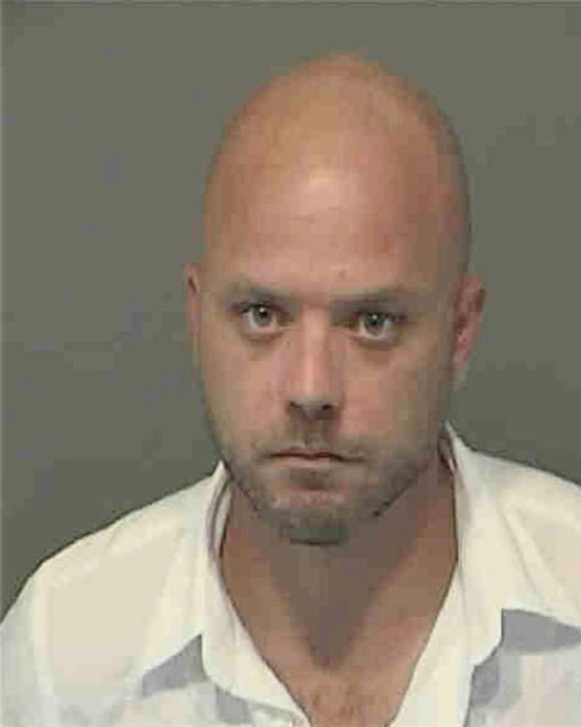 ANDREWS, PATRICK RYAN - Peoria County, IL