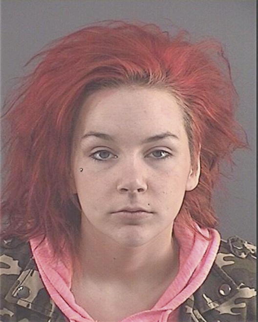 CHAPMAN, DAWNN R - Peoria County, IL
