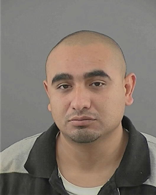 MEJIA, PIEDAD ROGER - Peoria County, IL