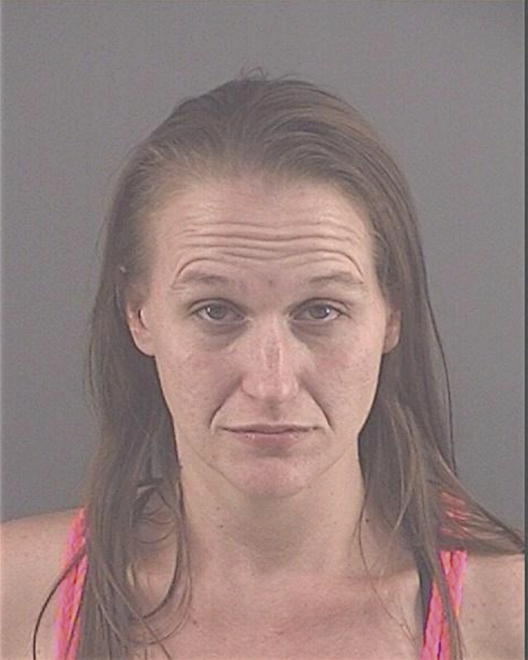 SCHALK, TIFFANY LYNN - Peoria County, IL