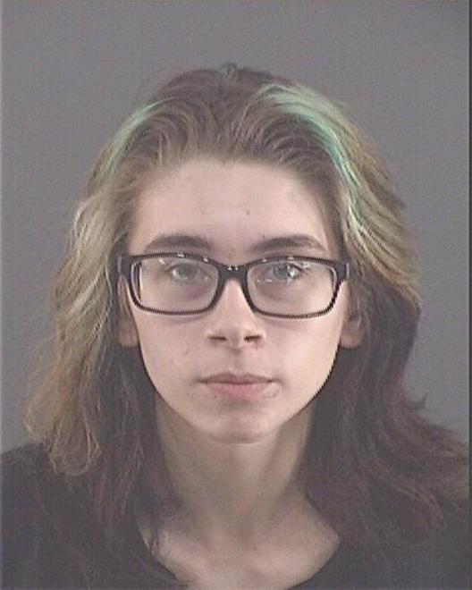 BEDZEK, ZARA K - Peoria County, IL