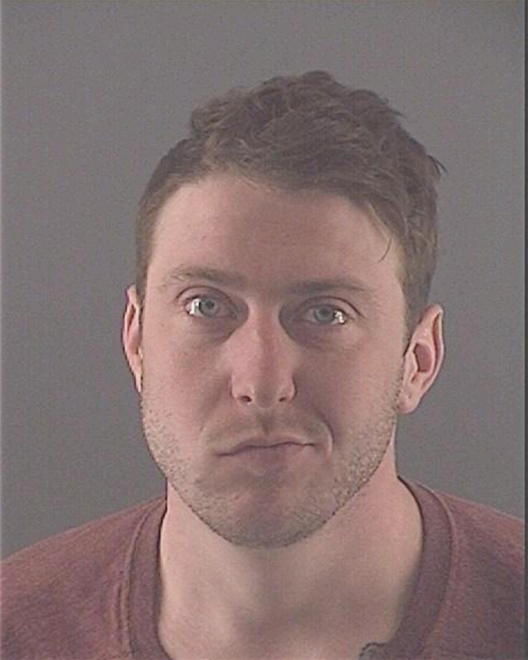 MEARDY, RILEY ALEXANDER - Peoria County, IL