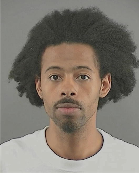 TYLER, BREYON A - Peoria County, IL