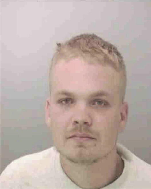 BAUGHMAN, CHRISTOPHER MICHAEL - Peoria County, IL