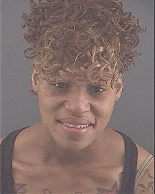 LEE, TICHASHA - Peoria County, IL