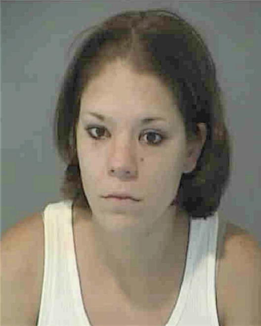 AMERMAN, HEATHER LYNN - Peoria County, IL