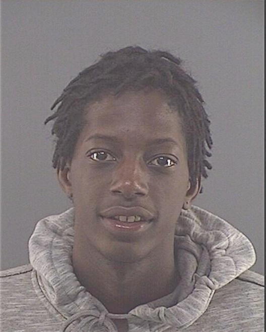 NELSON, JEVONTA T - Peoria County, IL