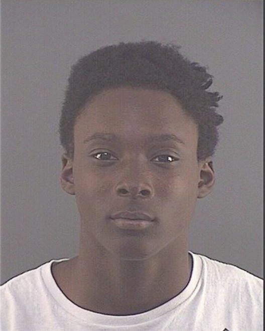 SANTARRELLI, TRAMEL D - Peoria County, IL