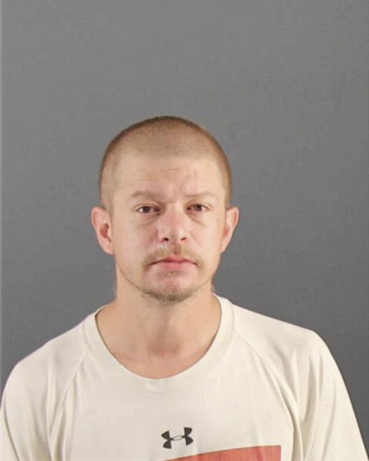 BIRKS, CHRISTOPHER RIAL - Peoria County, IL