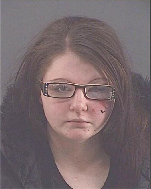 LANKFORD, BRIANNA D - Peoria County, IL