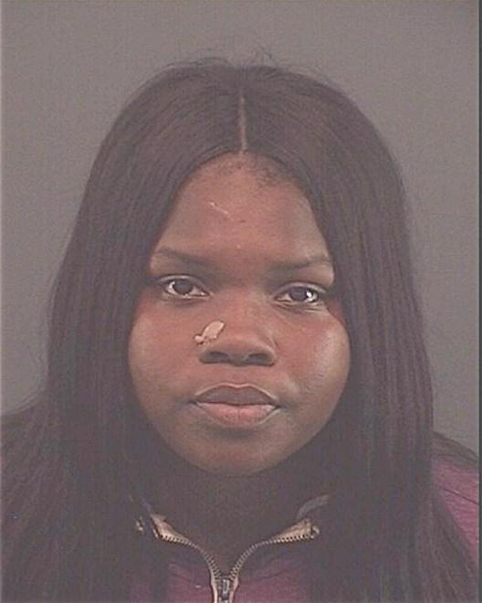 HOBSON, TINAYANN S - Peoria County, IL