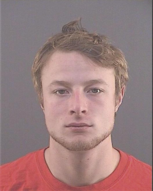 WALSH, ANDREW TYLER - Peoria County, IL