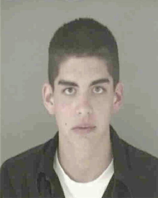 RINK, RYAN MICHAEL - Peoria County, IL
