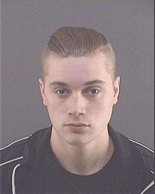 THIEME, WILLIAM H - Peoria County, IL