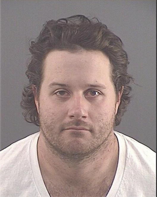 BIRDOES, CORY M - Peoria County, IL