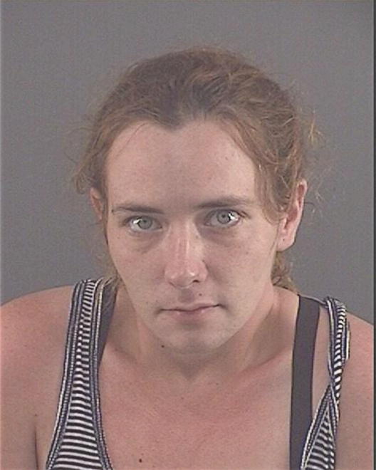 ELDRIDGE, MICHELLE RENAEE - Peoria County, IL