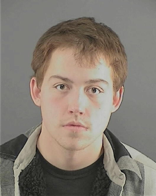 WISEMAN, DAVID M - Peoria County, IL